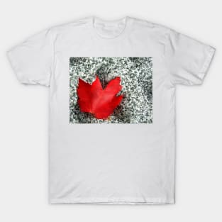 Red Rocks T-Shirt